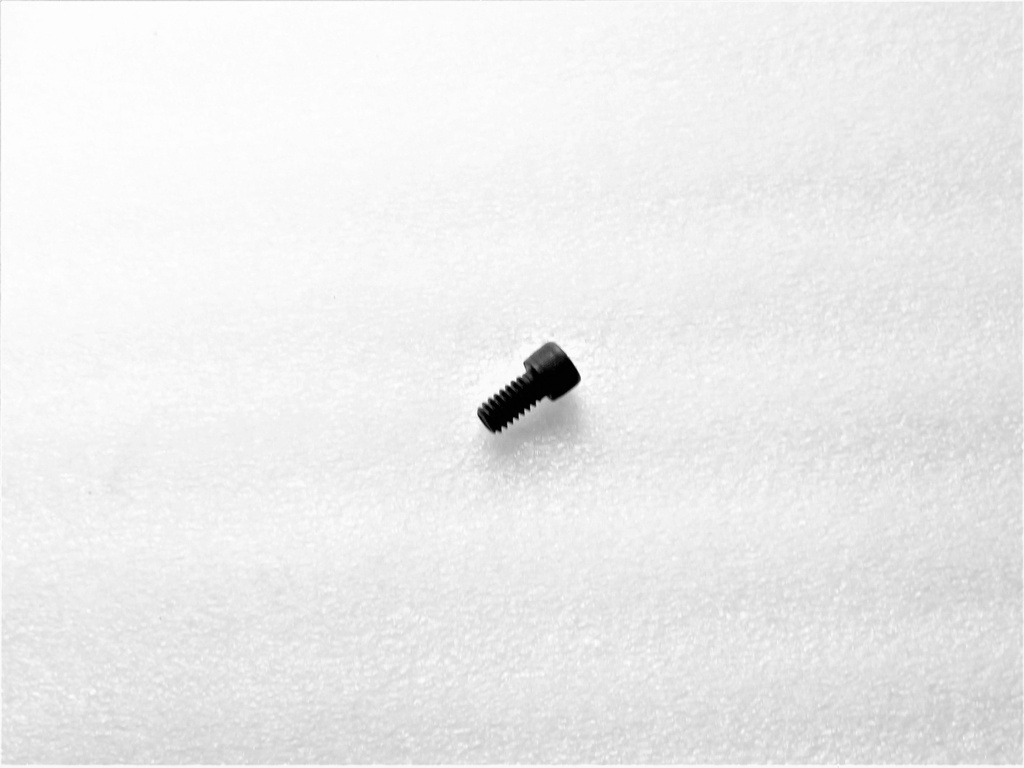 [513971] STRIP SANDER SCREW