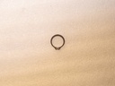 Retaining Ring (5CA39-75 3/4 Inch)