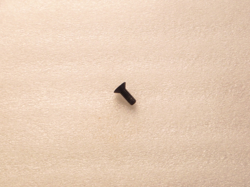Flat Socket Head Screw (M6X1X16mm)