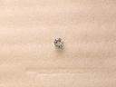 Hex Nut with Star Washer (1/4-20)