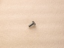 Bandsaw Screw (1/4-20x1/2)