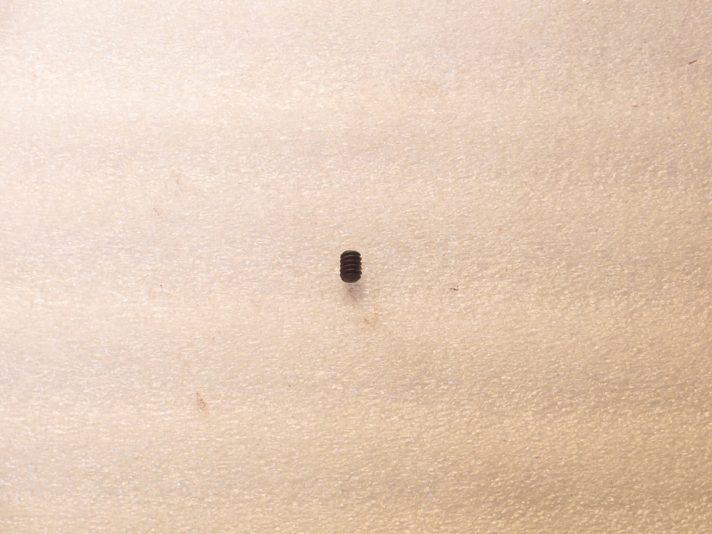 Setscrew with Nylon Patch (10-24X1/4)
