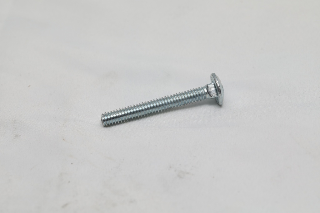 Carriage Bolt (1/4-20X2)