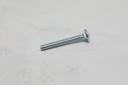 Carriage Bolt (1/4-20X2)
