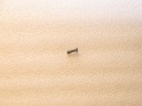 Screw (6-32X3/8)