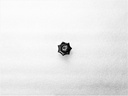 Knob with Insert